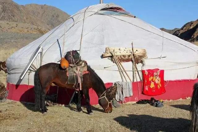 游轮|什么是你去了内蒙古，才知道的事？