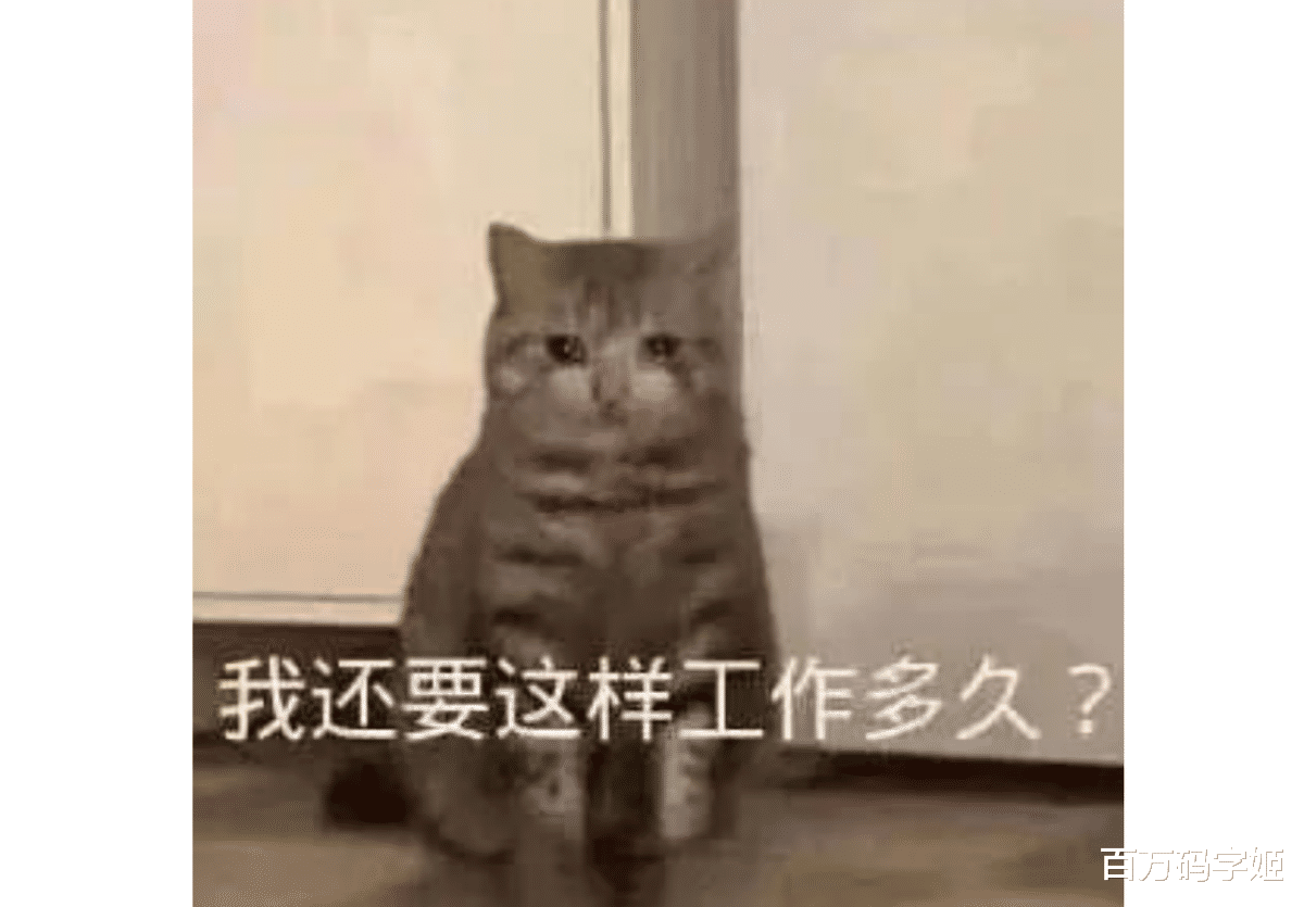 |九五后年轻人打工实录:“每天都想辞职,月月都是满勤”