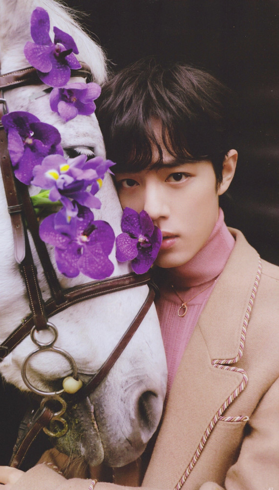 肖战|遭受公众指责,从当红顶流变成全网黑,肖战到底做错了什么?