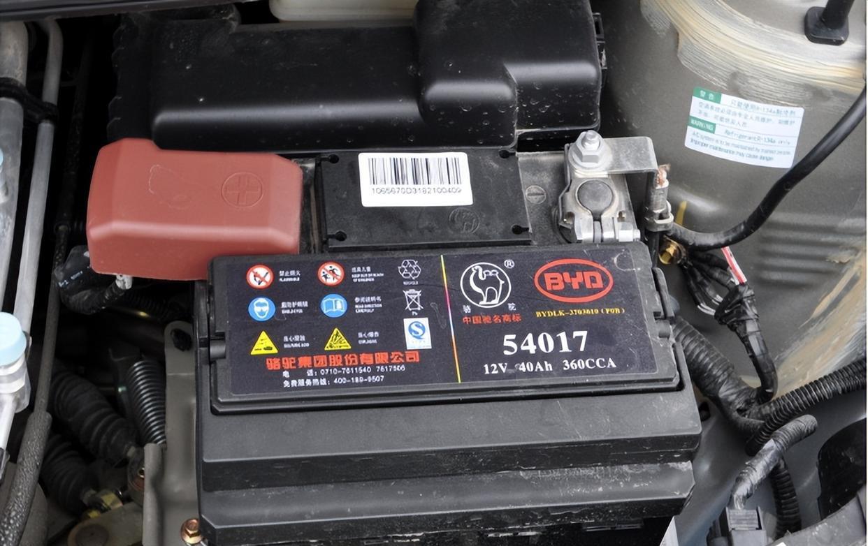 比亚迪王传福：父母双亡，嫂子卖嫁妆养他，现百亿身家报答兄嫂