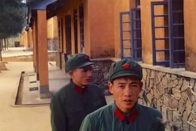 带车干部和司机隐瞒翻车事故,科长发现蹊跷