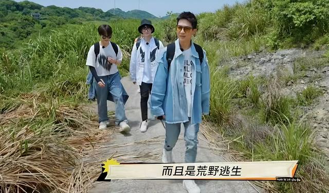 男团|0713男团再就业,不怕傻子多,就怕傻子聚一窝