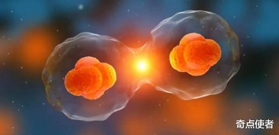 人类将实现永生?科学家找到延寿“开关”,寿命可延长29%