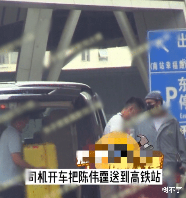 陈伟霆|怀孕了？还想逼婚陈伟霆？