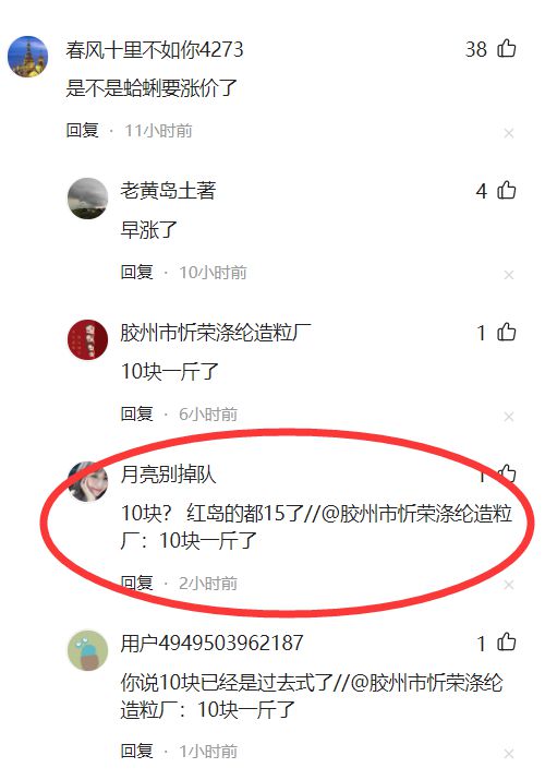 青岛首次出现!白泥蚂袭击胶州湾,有网友问:能吃不?蛤蜊都15元一斤了