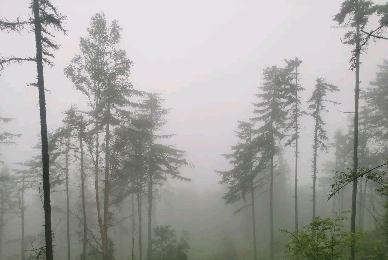 秦岭|从西安出发，秦岭深处有一处神秘的原始森林，温度16℃，一个人最好不要来