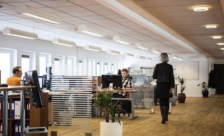 求职|“那个不要工资的95后，我不敢录用”：别卷了，再卷人都卷没了