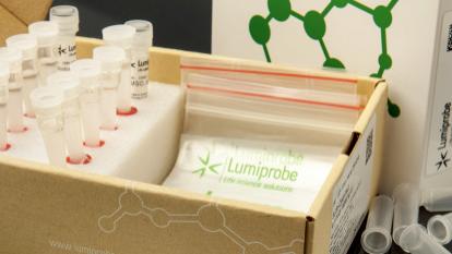 Lumiprobe 脱氧核糖核酸丨磷酸盐 CPG 1000 固体载体