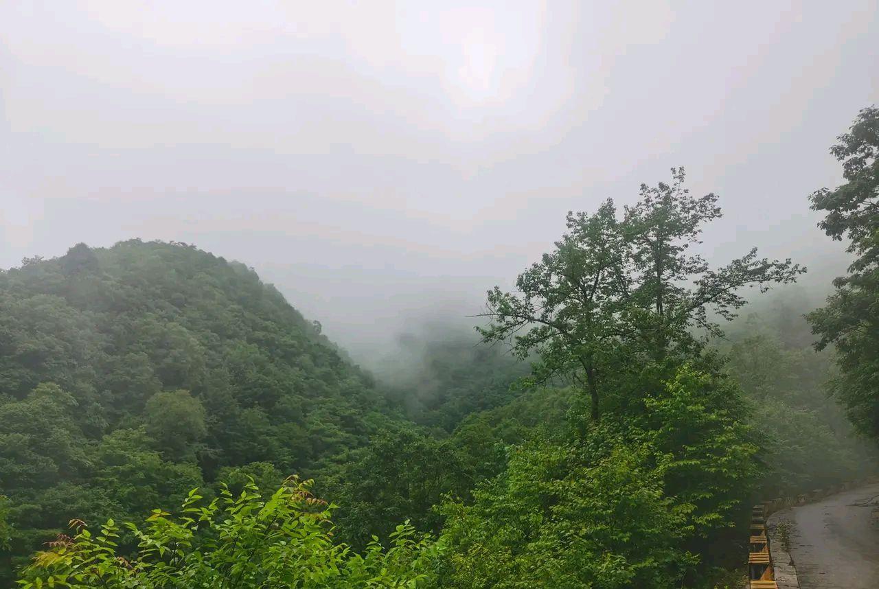 秦岭|从西安出发，秦岭深处有一处神秘的原始森林，温度16℃，一个人最好不要来