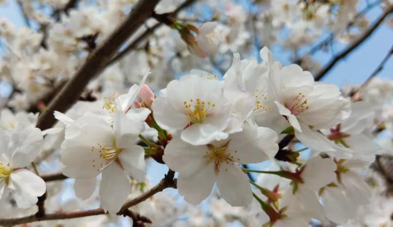 |被辞退前的十大征兆