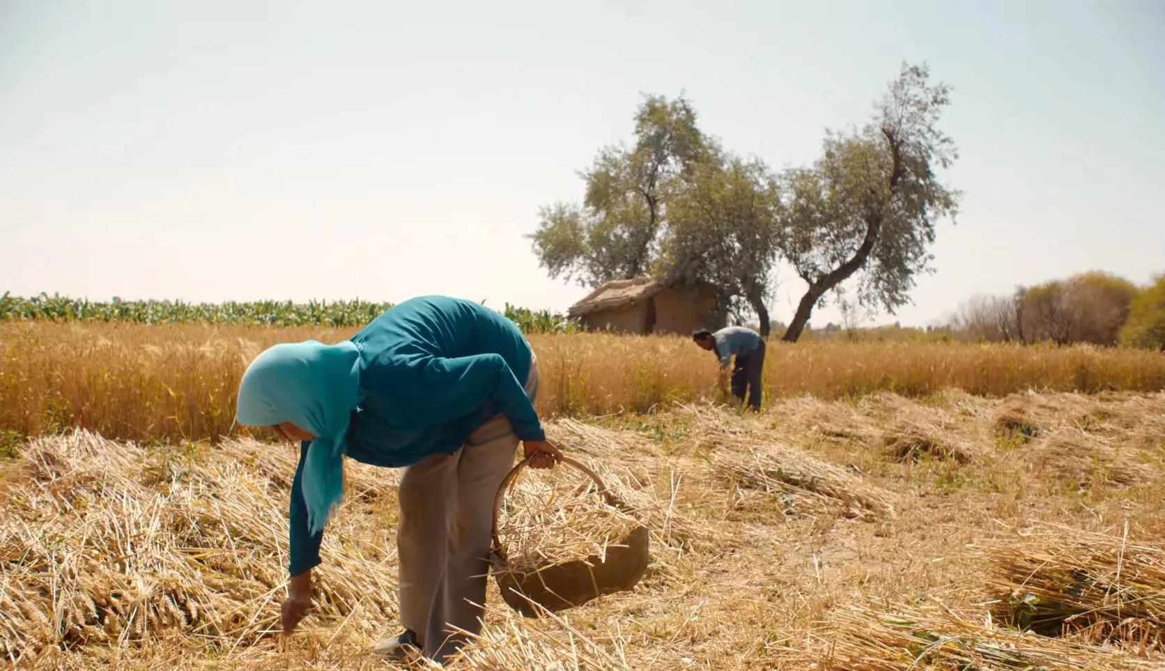 隐入尘烟|《隐入尘烟》遭全网下架,电影拍得好,但被下架也活该