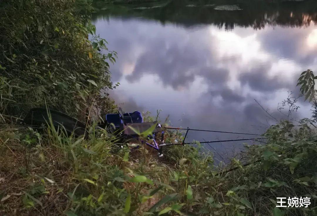 |野钓遇上蹭窝的该怎么办?老钓友经验分享,从根本上防止蹭窝