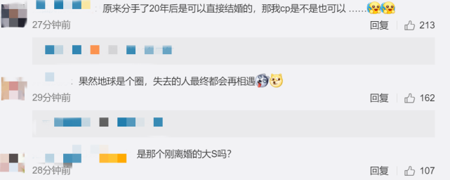 大S|大S再婚!男方是53岁韩国歌手