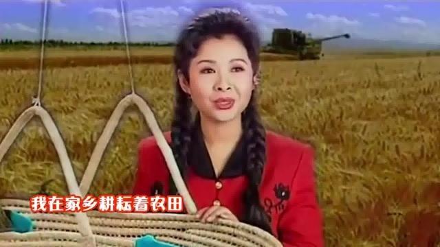 |张楠：苦等董文华5年，帮妻子洗刷污点，她永远是我的好妻子