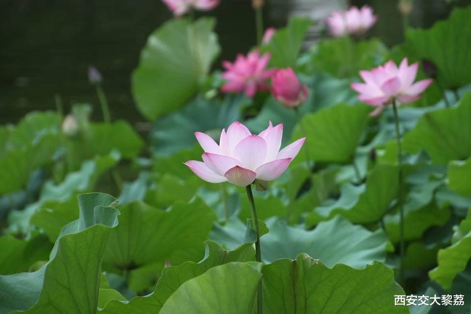 送走了七月