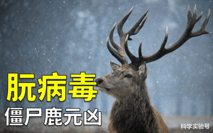致死率达100%!被科学家称为“上帝的禁令”,朊病毒到底有多可怕?
