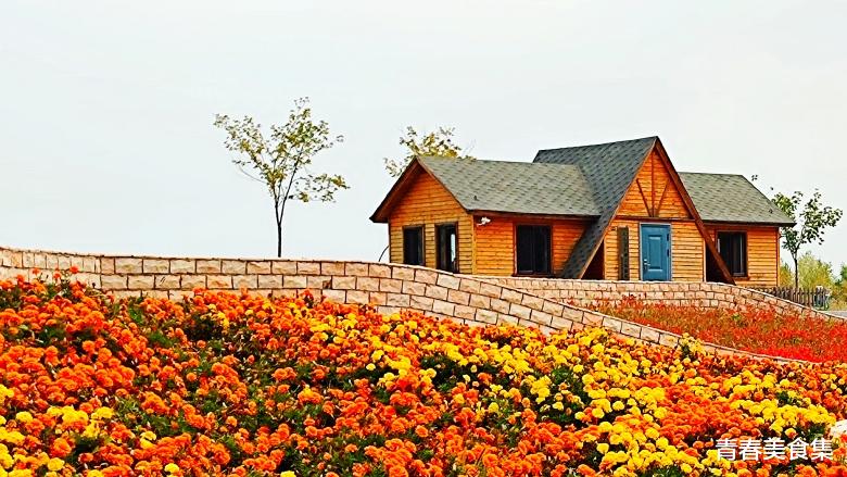 宜宾|国庆节市内游，就选这个地方吧，美好的向阳花海，幸福又快乐