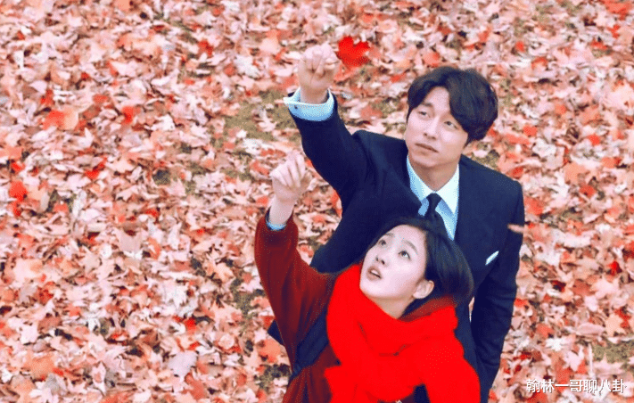 孤单又灿烂的神|孔刘辞演《鬼怪》编剧又一力作，没有档期是表象，根本原因有两点