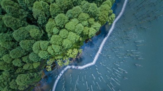 上海市|江西宜春明月山,奇峰险壑温泉飞瀑,山上“有石夜光如月”而得名
