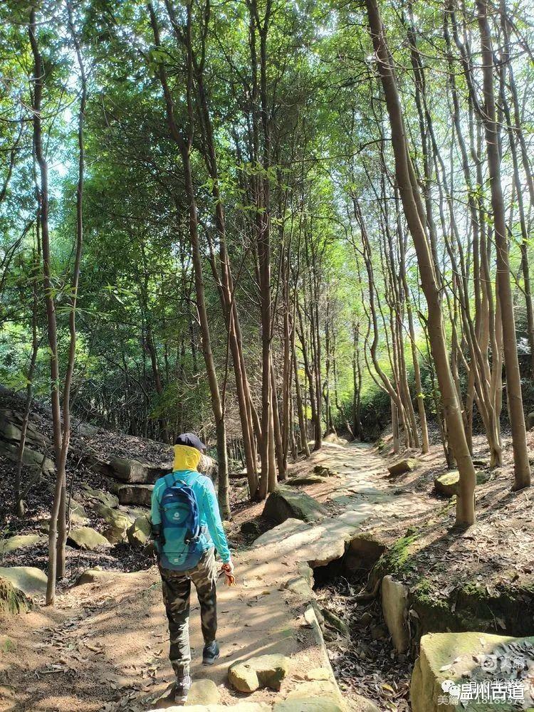 |太神奇了！大罗山居然有“海狮表演”，你可曾见过？