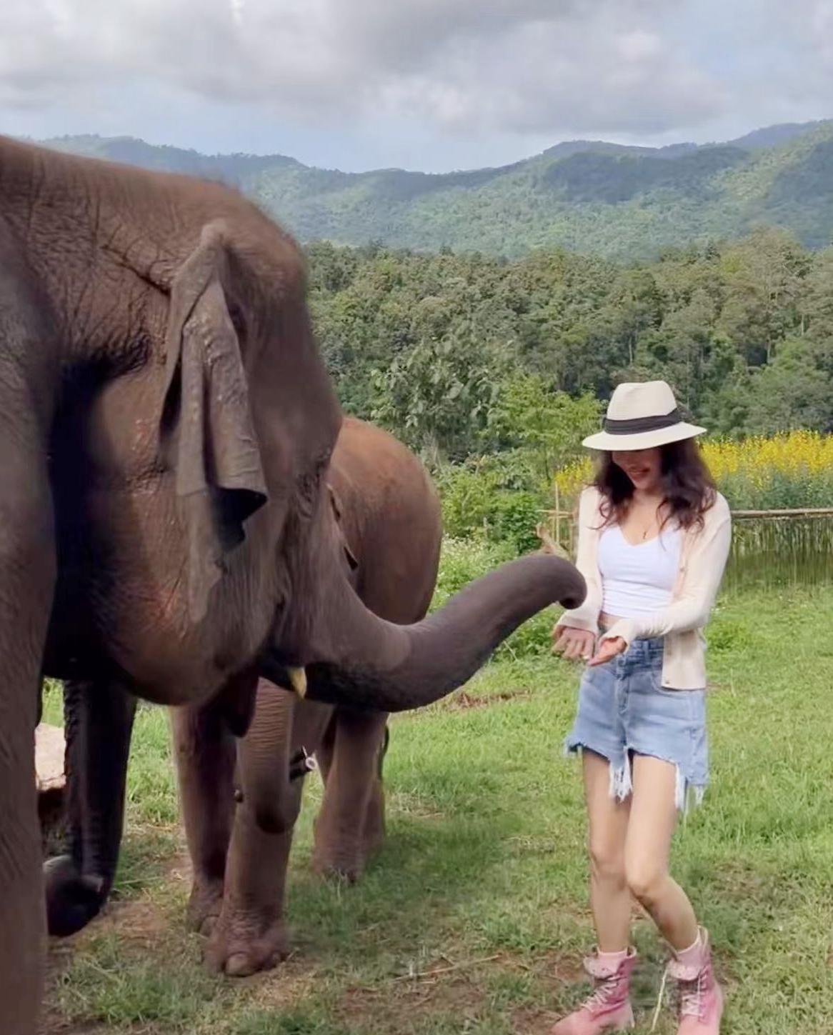 豪宅|7位移居国外的明星，开豪车住豪宅，嫁外国老公，个个活得潇洒！