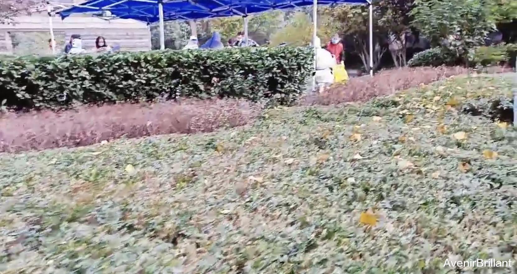 应降低核酸检测频率,并减少核酸检测站