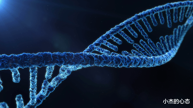 古生物尸体从冻土层中被发现,距今或已有5万年,隐藏危险信号