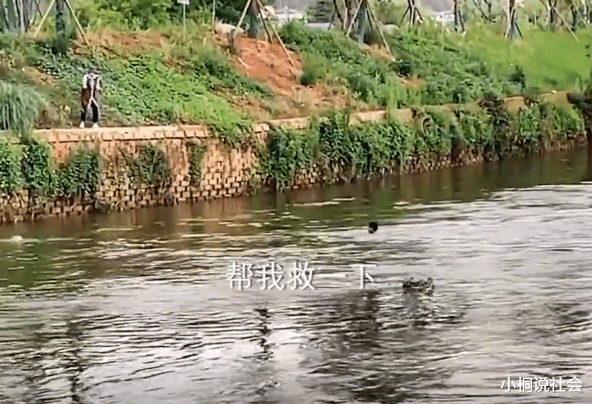 |云南一男子钓鱼时遇求助，赶忙下河营救，看到落水者网友不淡定了