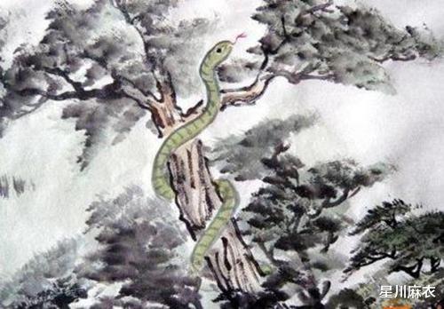 属蛇|属蛇生在几月善于应变，2023年福禄不缺，富贵亨通，靠自己轻松赚钱