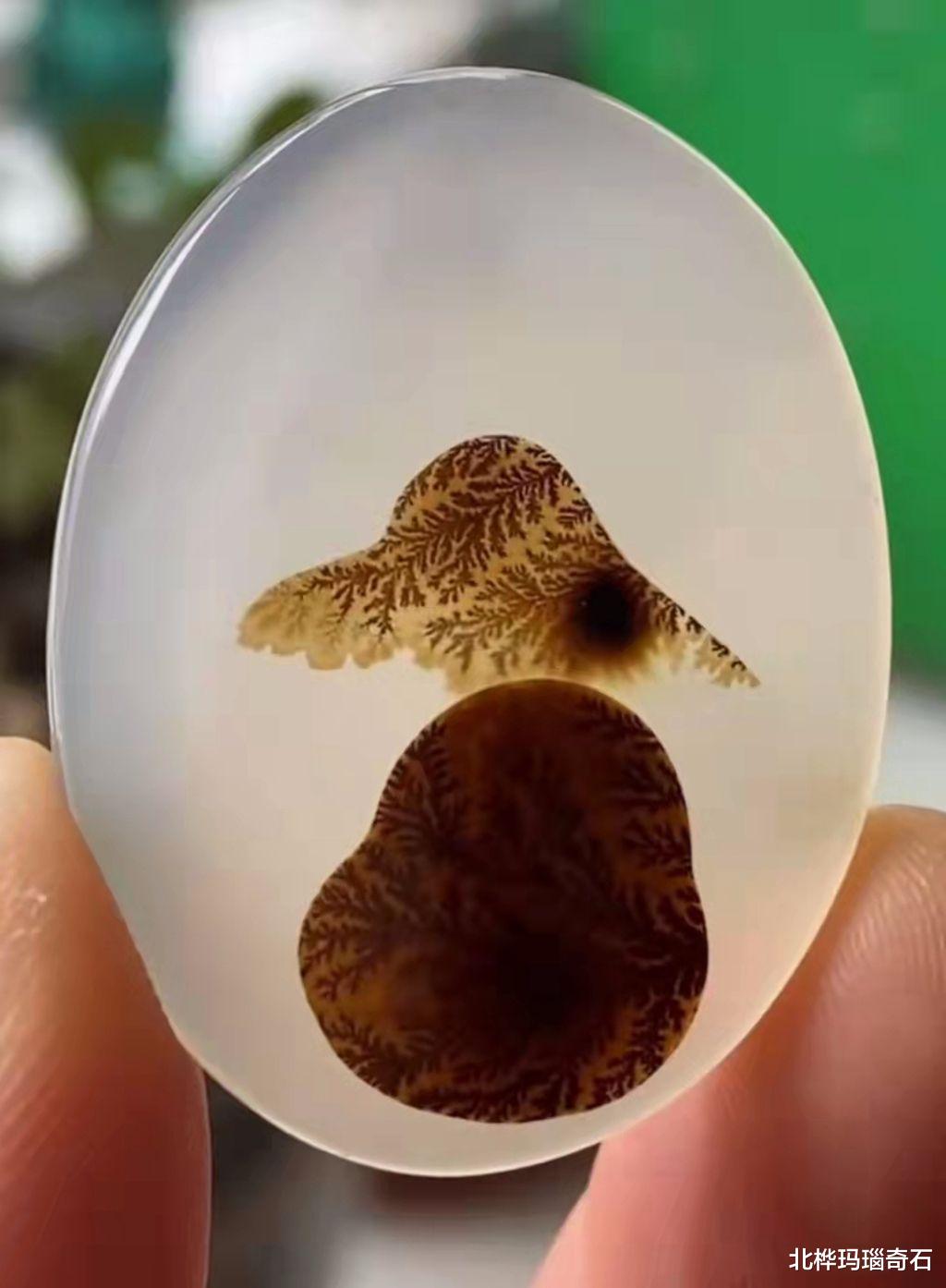 宝贝|捡石头也是心情的寄托