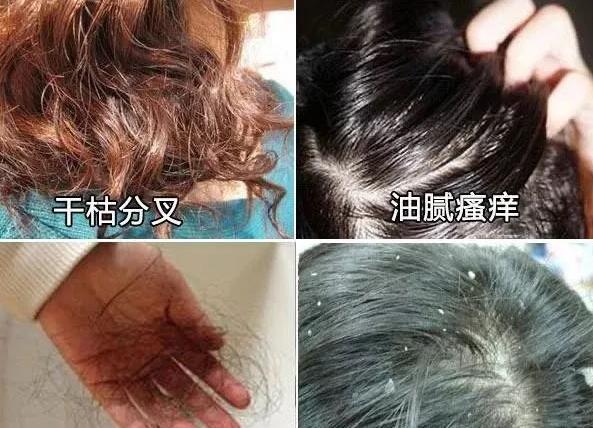 洗发水 堪称“国宝级”洗发水，因太便宜被人嫌弃，网友：用完告别大油头