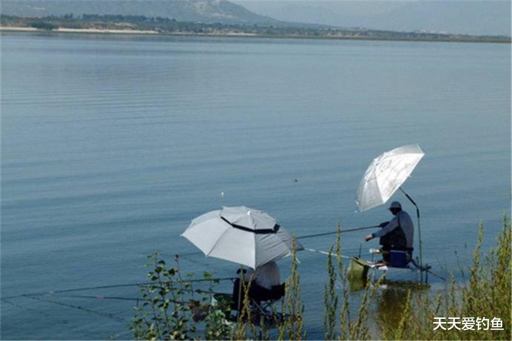|盛夏野钓,风越大鱼越好钓,记住4条爆护秘诀,大风天也能爆护