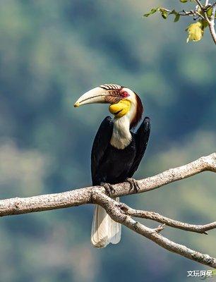 文玩|这些很“刑”的文玩，你知道吗？