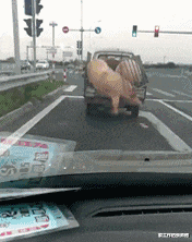 怀孕|能让大家记住的id的职业选手很多，但是id和姓名都记住的一定不多吧？ ?