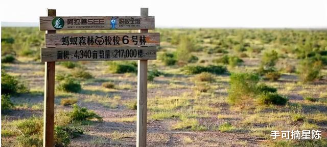 |阿里巴巴公布的一张照片,让众人湿了眼眶:难怪马云会成为首富