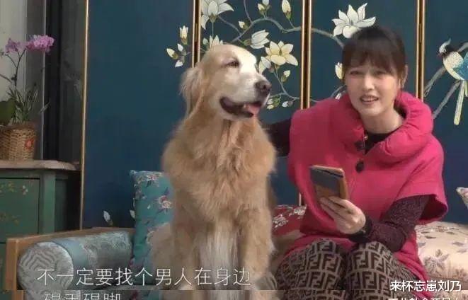 黎耀祥|11位定居内地的过气香港艺人,个个有钱,买豪宅豪车娶富婆