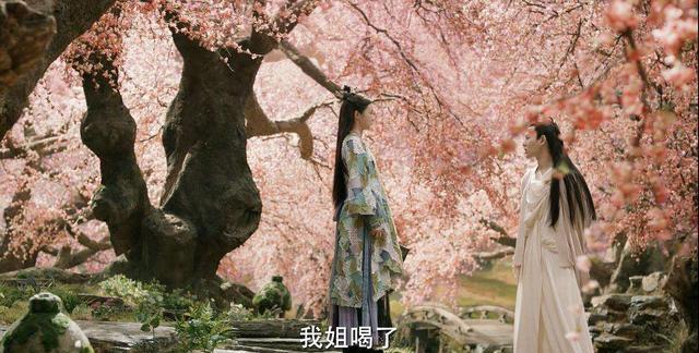 消散的痕迹|《猎罪图鉴》刚更新结束,双女主探案剧《消散的痕迹》又要来袭?