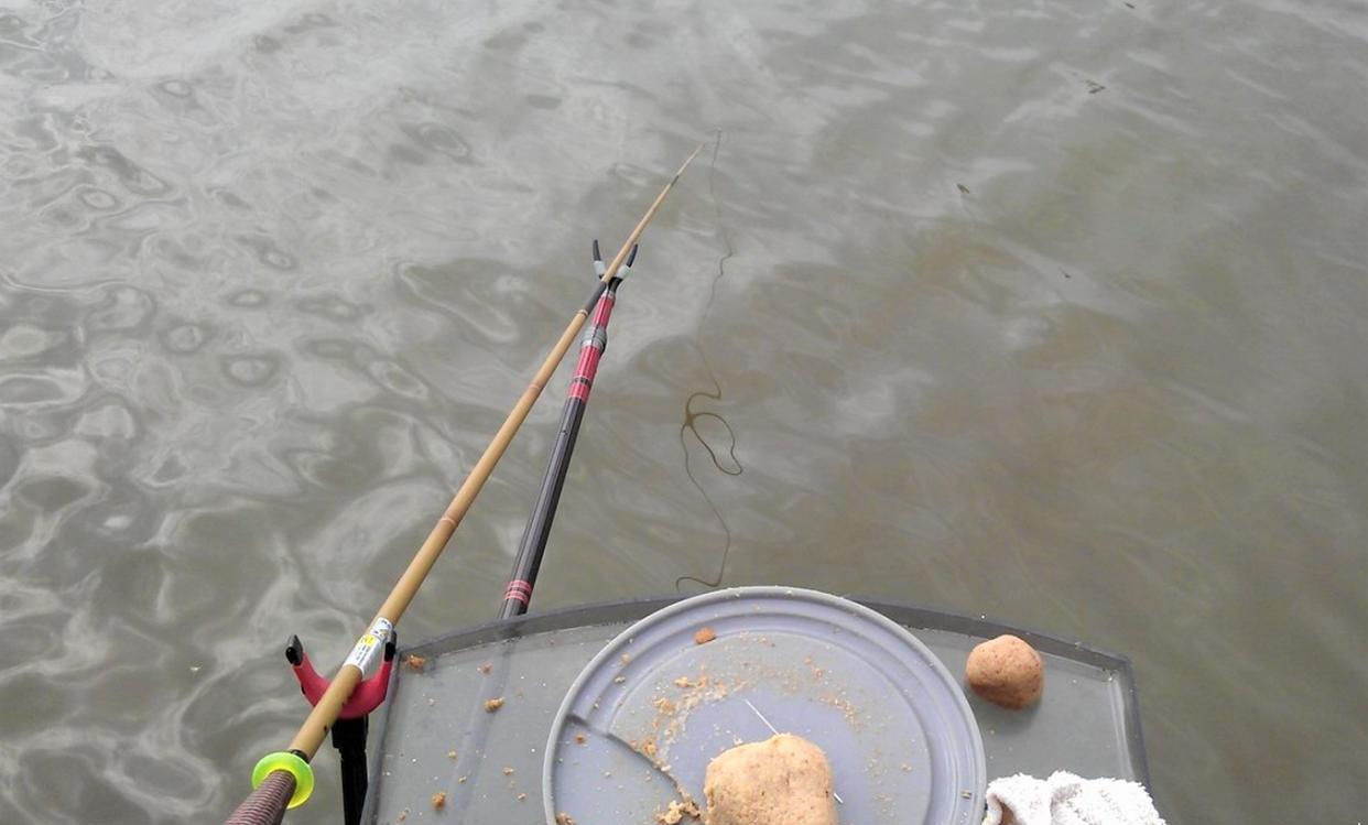 饵料|秋天怎样钓白条鱼?钓其他目标鱼,如何有效防止小白条闹窝?