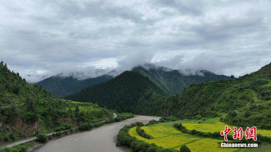 |青海玛可河国家森林公园风景如画