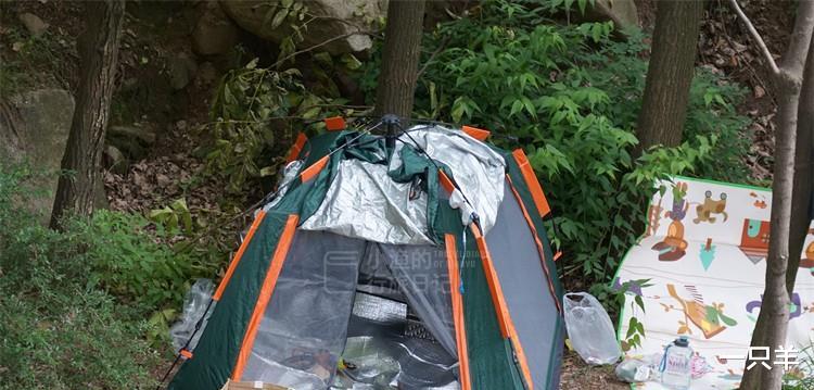 |这条秦岭沟谷，一进山就能看到美景，老人、孩子来玩也合适