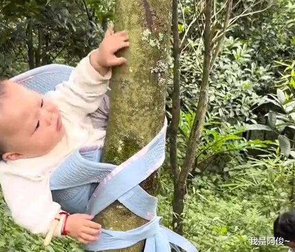 云南一奶奶下地干活又想照顾孩子,10个月大婴儿被绑树上不哭不闹