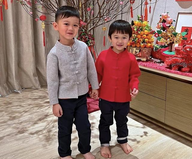 胡杏儿丈夫春节晒全家福，一家五口穿亲子装，豪宅客厅装修简约