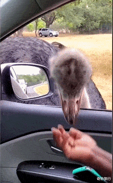 董子健|孙怡、董子健财产或已分割完毕，婚变时间曝光，婚姻六年未办婚礼