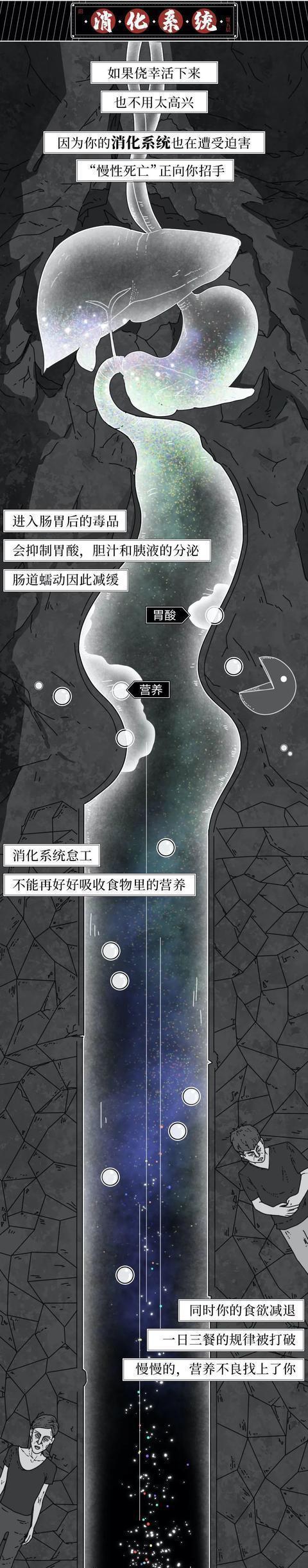 毒品的“危害性”有多大?漫画了解:一旦尝试,后果“不堪设想”