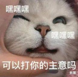 吴晨|为什么说中国女生有仙气？