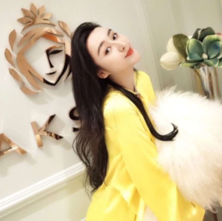 何承熹|何承熹:花800万整容成范冰冰,嫁给主刀医生后,如今怎么样了?