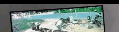 最后一瓜！开封叶婷亡父殴打修车铺老板视频曝光，是否以打养家