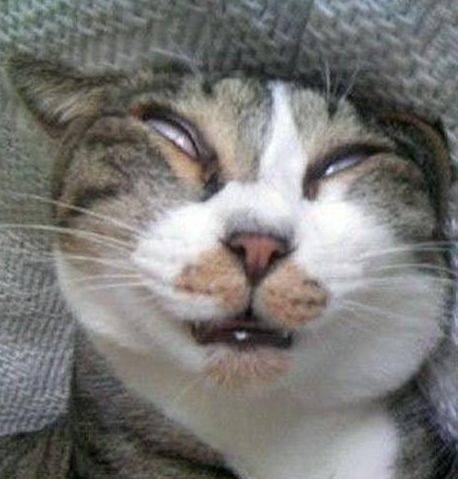 00后|路过程序员办公室,突然看见这画面,忍不住用手机拍了下来,哈哈哈哈~