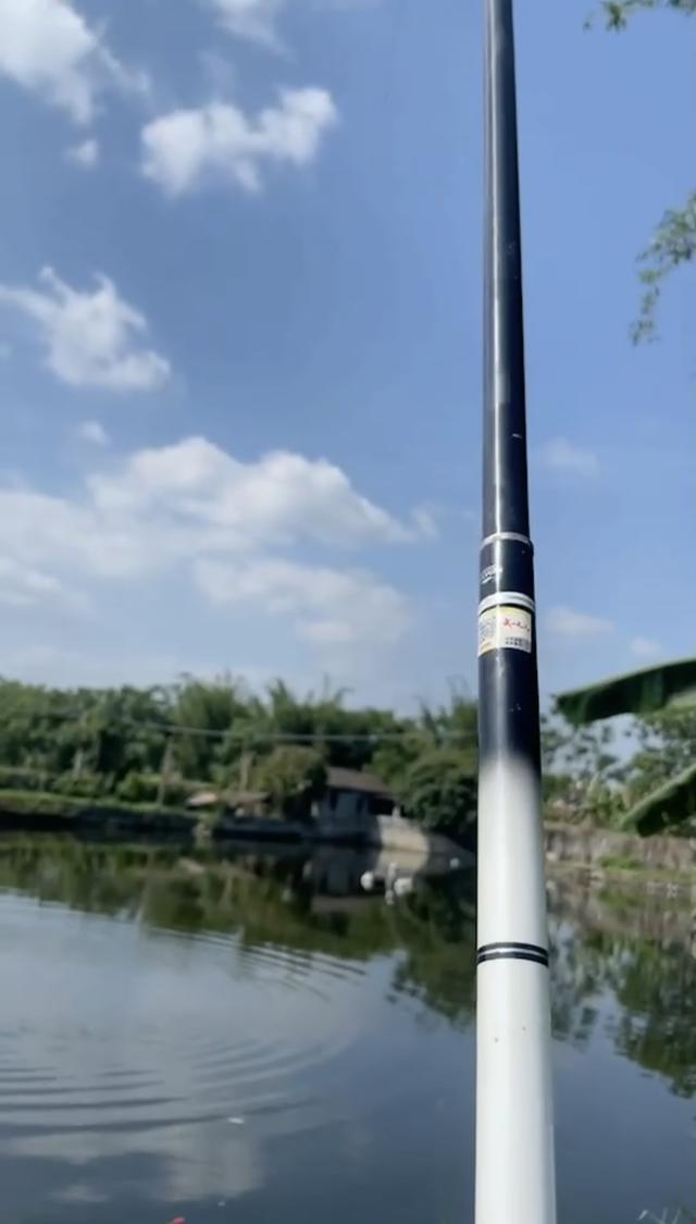 玉米|钓无定法,闲来也说说钓草鱼的事