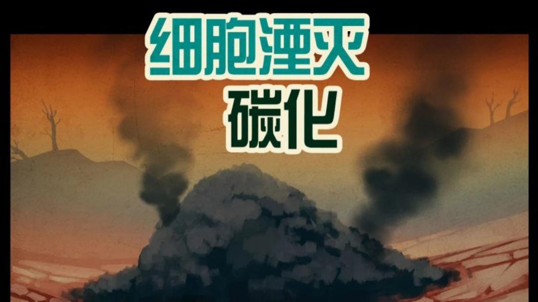 地球尽头192，洛银河逃亡，刽刑府与生化人打了起来